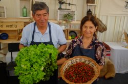 EXPO REGIÓN DE COQUIMBO 2017: SE CONSOLIDA COMO LA VITRINA DEL EMPRENDIMIENTO MÁS IMPORTANTE DE LA ZONA NORTE