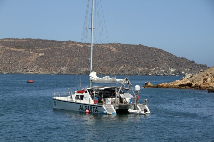 DESTACADA FUNDACIÓN INTERNACIONAL LLEGA A LA REGIÓN A PROMOVER EL CUIDADO DEL OCÉANO