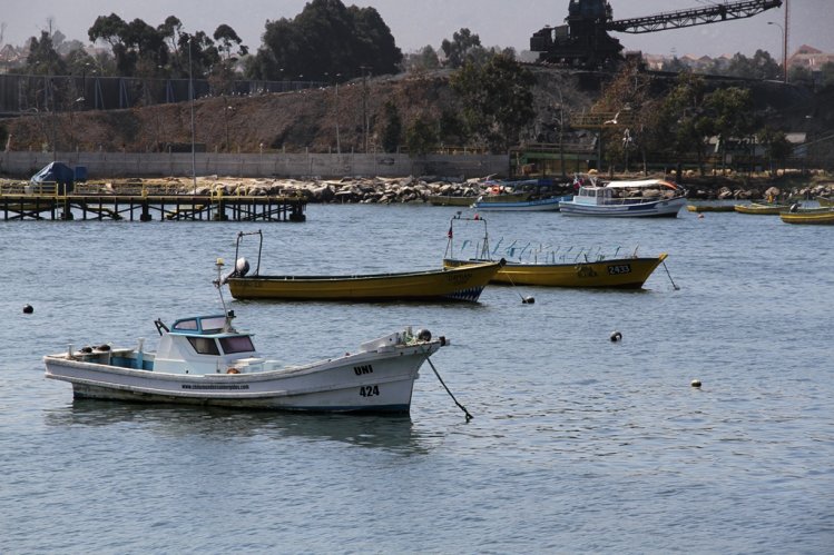 DESTACADA FUNDACIÓN INTERNACIONAL LLEGA A LA REGIÓN A PROMOVER EL CUIDADO DEL OCÉANO