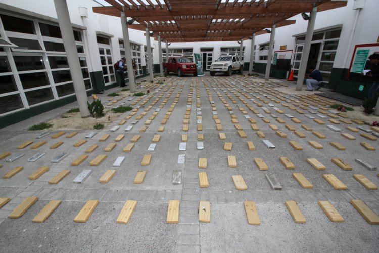 GOBIERNO COORDINA OPERATIVOS POLICIALES E INCAUTA MÁS DE 800 KILOS DE DROGAS