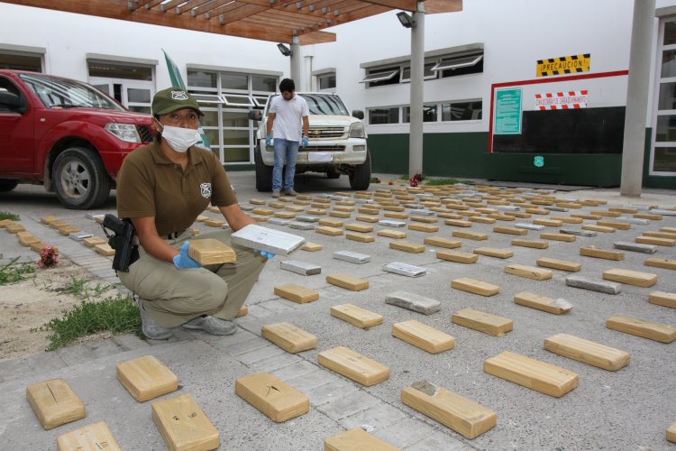 GOBIERNO COORDINA OPERATIVOS POLICIALES E INCAUTA MÁS DE 800 KILOS DE DROGAS