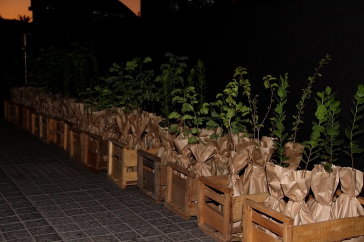 REGIÓN DE COQUIMBO SE SUMÓ A “LA HORA DEL PLANETA”