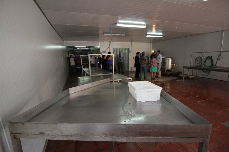 PESCADORES ARTESANALES DE GUAYACÁN REIMPULSAN LA PRODUCCIÓN DE JIBIA DANDO VALOR AGREGADO