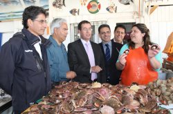 EL VALLE DE ELQUI Y PUNTA DE CHOROS PRESENTAN LA MAYOR CANTIDAD DE RESERVAS PARA ESTE FIN DE SEMANA SANTA