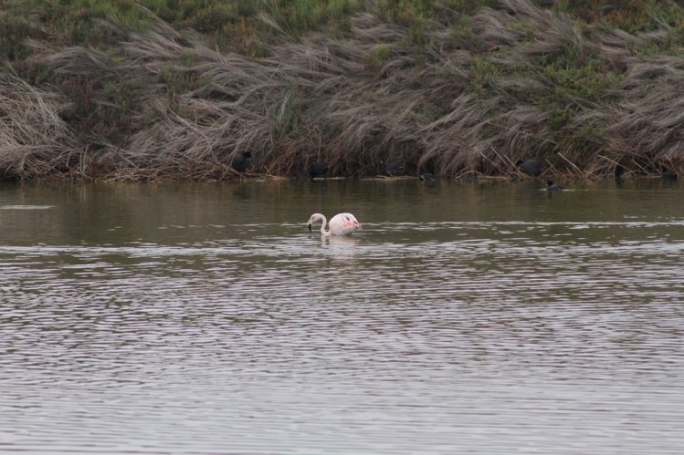 VECINOS DE PUERTO ALDEA INICIAN MESA DE TRABAJO CON EL GOBIERNO PARA LOGRAR CONECTIVIDAD VIAL