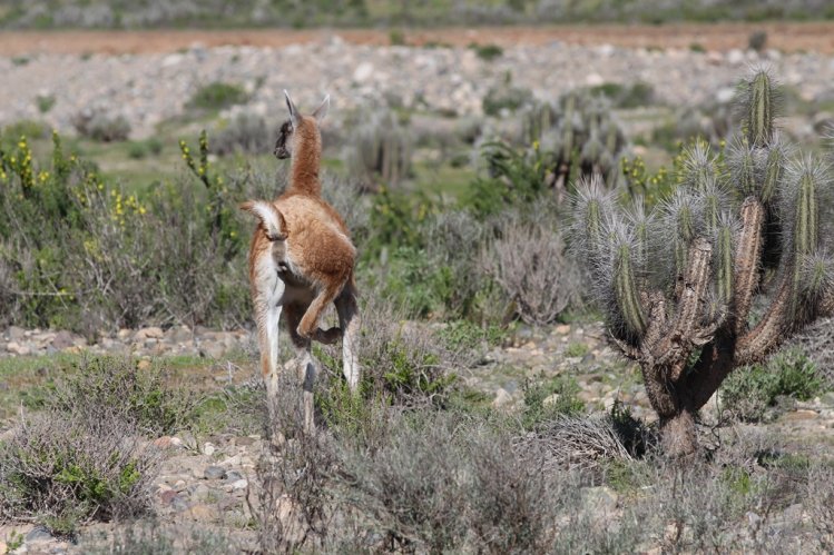 BELLEZAS NATURALES PROMUEVEN EL TURISMO EN LA HIGUERA PARA VACACIONES DE INVIERNO