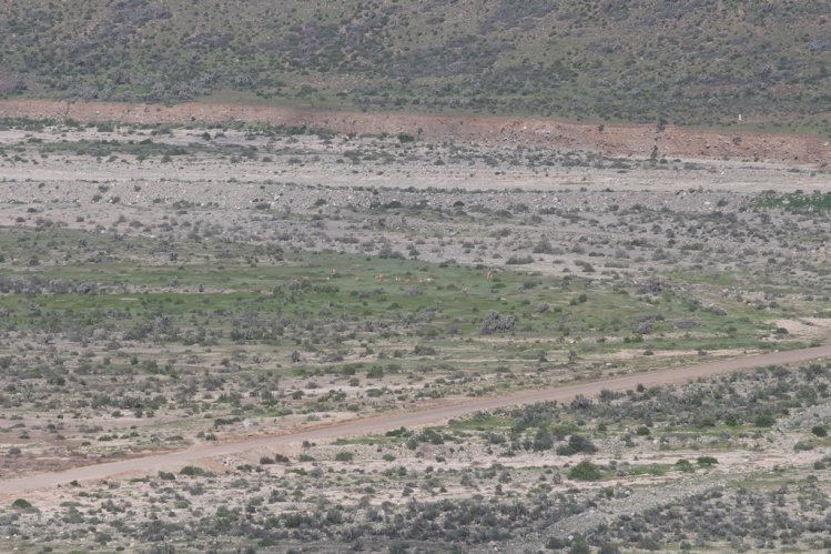 BELLEZAS NATURALES PROMUEVEN EL TURISMO EN LA HIGUERA PARA VACACIONES DE INVIERNO