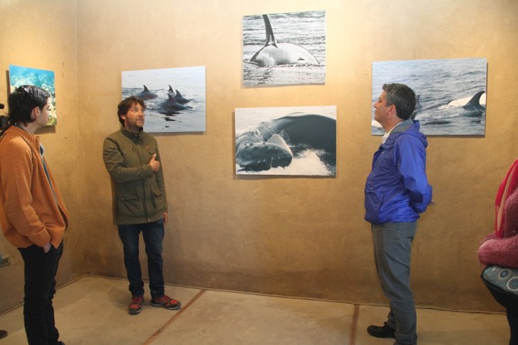 MUESTRA FOTOGRÁFICA REALZA PATRIMONIO NATURAL DE LA RESERVA NACIONAL PINGÜINO DE HUMBOLDT