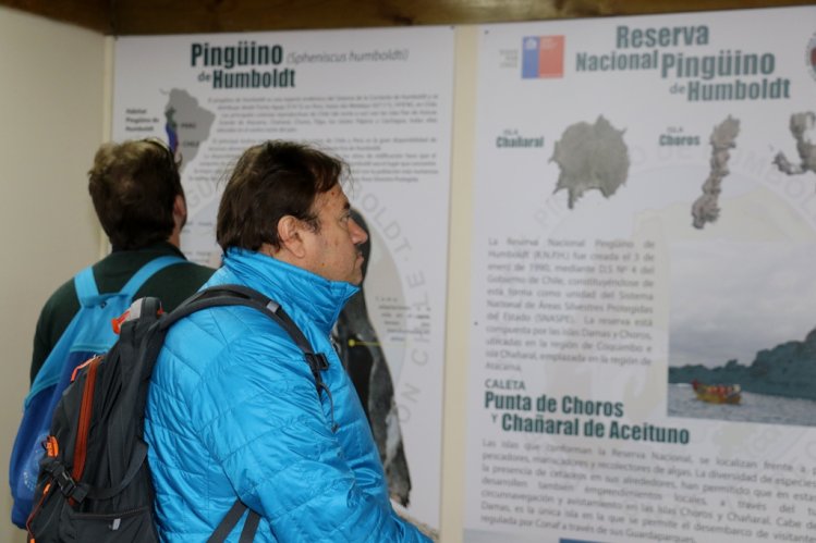 CIENTÍFICOS DE TODO EL MUNDO VISITARON RESERVA NACIONAL PINGÜINO DE HUMBOLDT