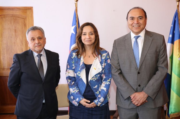 CONSEJO REGIONAL EN PLENO Y MUNICIPIOS ENTRE LOS SALUDOS PROTOCOLARES A LA INTENDENTA LUCÍA PINTO