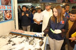 FISCALIZACIÓN SANITARIA EN SEMANA SANTA: LLAMAN A COMPRAR PESCADOS Y MARISCOS EN LUGARES ESTABLECIDOS