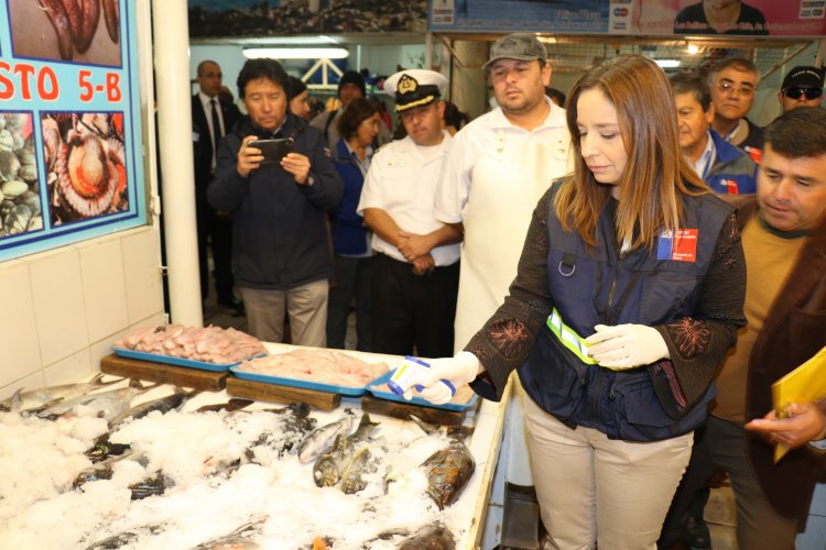 FISCALIZACIÓN SANITARIA EN SEMANA SANTA: LLAMAN A COMPRAR PESCADOS Y MARISCOS EN LUGARES ESTABLECIDOS