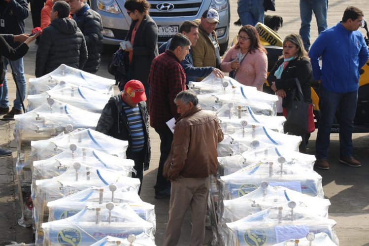 NUEVOS EQUIPOS DE RESPIRACIÓN MEJORARÁN LA SEGURIDAD Y EL TRABAJO DE LOS BUZOS MARISCADORES