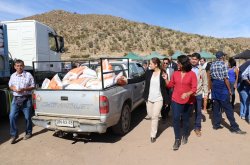 GOBIERNO LLEGA CON APOYO PRODUCTIVO Y ALIMENTACIÓN PARA EL GANADO EN COMBARBALÁ