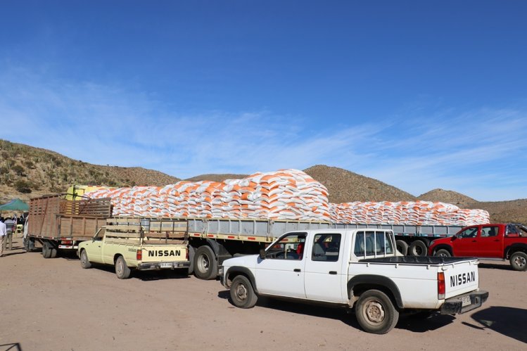 GOBIERNO LLEGA CON APOYO PRODUCTIVO Y ALIMENTACIÓN PARA EL GANADO EN COMBARBALÁ