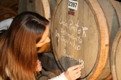 GOBIERNO COMPROMETE DEFENSA DE LA DENOMINACIÓN DE ORIGEN DURANTE EL MES DEL PISCO