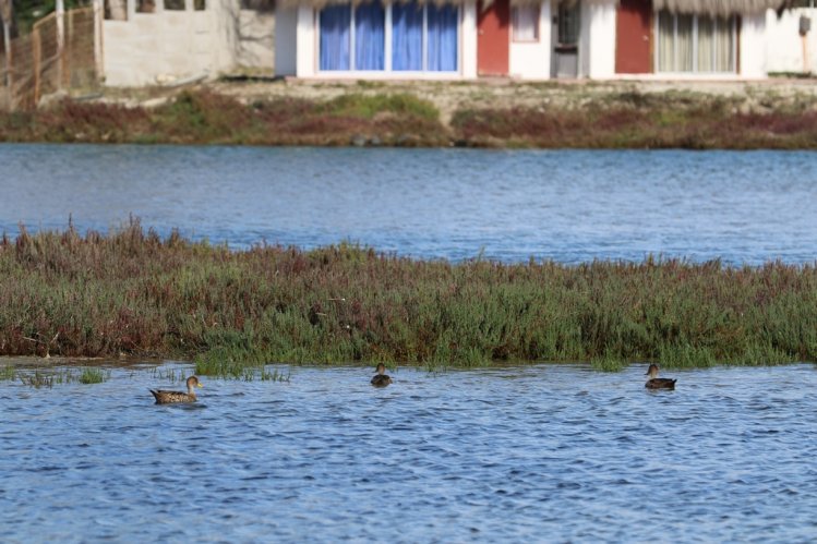 TONGOY APUESTA POR CONSOLIDAR EL DEPORTE INCLUSIVO Y LA PRESERVACIÓN DEL MEDIO AMBIENTE