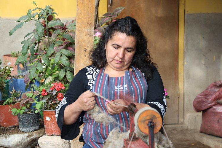 ARTESANAS DE CHAPILCA PROYECTAN SU PRODUCCIÓN HACIA TODO EL PAÍS