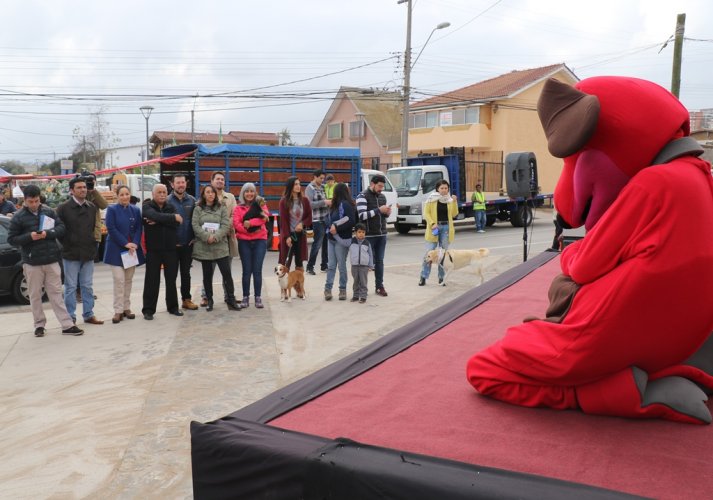 LLAMAN A MUNICIPIOS A POSTULAR A RECURSOS PARA INSTALAR CENTROS MODULARES DE ATENCIÓN VETERINARIA