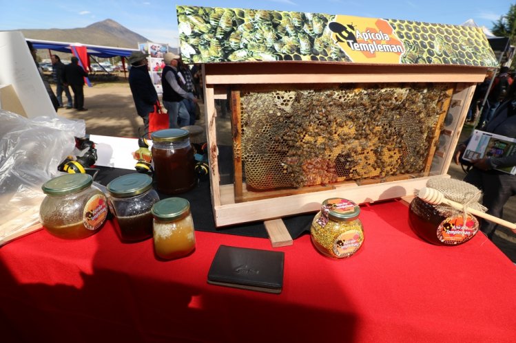 GOBIERNO Y DIRIGENTES CAMPESINOS COINCIDEN EN AVANZAR EN UNA POLÍTICA NACIONAL DE DESARROLLO RURAL