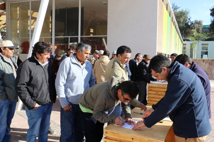 AGRICULTORES DE LIMARÍ AFECTADOS POR HELADAS PODRÁN REACTIVAR SUS PRODUCCIONES