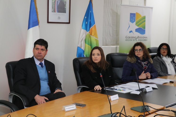 APRUEBAN DECLARACIÓN AMBIENTAL DE NUEVO PARQUE FOTOVOLTAICO PARA LIMARÍ