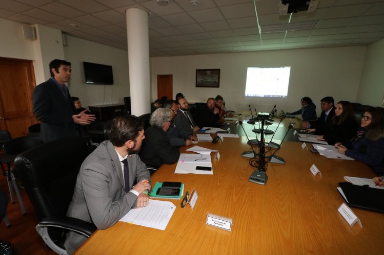 APRUEBAN DECLARACIÓN AMBIENTAL DE NUEVO PARQUE FOTOVOLTAICO PARA LIMARÍ