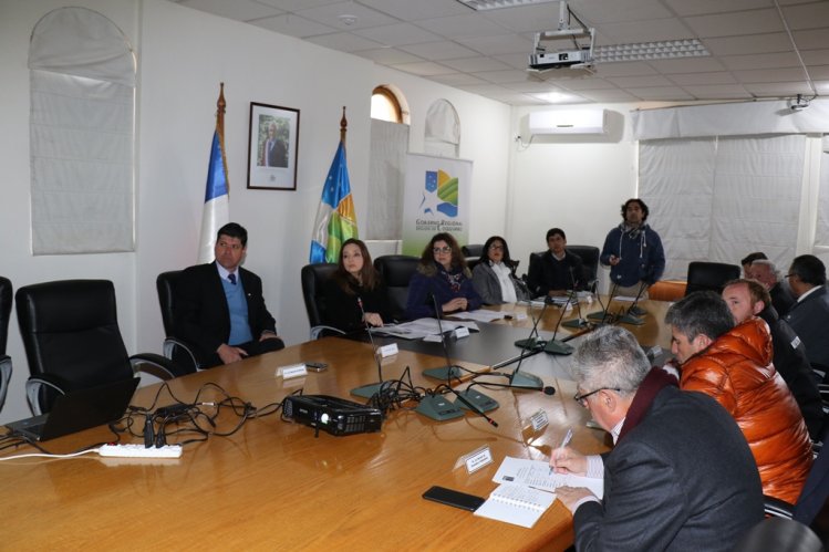 APRUEBAN DECLARACIÓN AMBIENTAL DE NUEVO PARQUE FOTOVOLTAICO PARA LIMARÍ