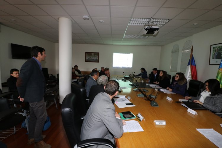 APRUEBAN DECLARACIÓN AMBIENTAL DE NUEVO PARQUE FOTOVOLTAICO PARA LIMARÍ