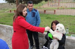 GOBIERNO LANZA FONDO CONCURSABLE PARA LA TENENCIA RESPONSABLE DE MASCOTAS Y ANIMALES DE COMPAÑÍA
