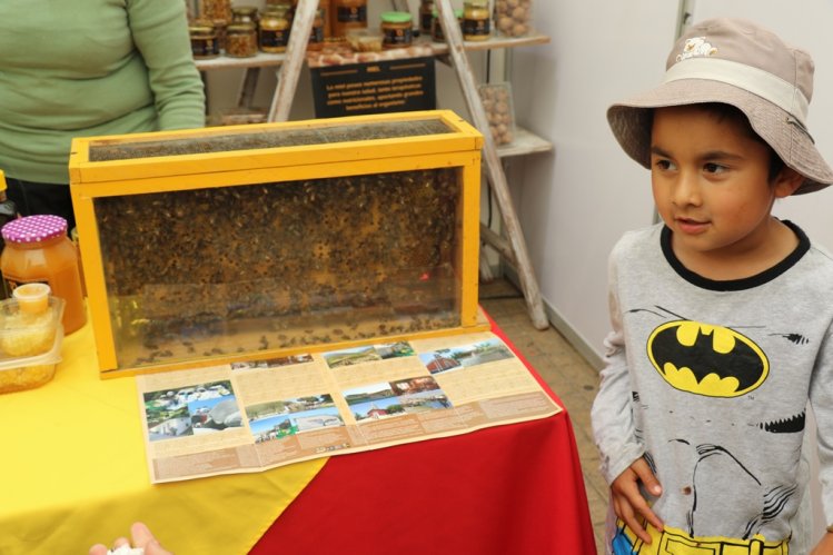 GOBIERNO PROMOVERÁ INTENSAMENTE EL FOMENTO Y CONSOLIDACIÓN DE LOS NUEVOS EMPRENDIMIENTOS