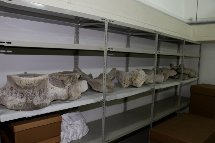 CELEBRAN EN LA REGIÓN LOS 16 AÑOS DE MUSEOS DE MEDIANOCHE