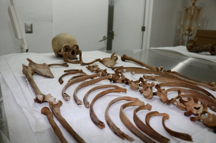 CELEBRAN EN LA REGIÓN LOS 16 AÑOS DE MUSEOS DE MEDIANOCHE