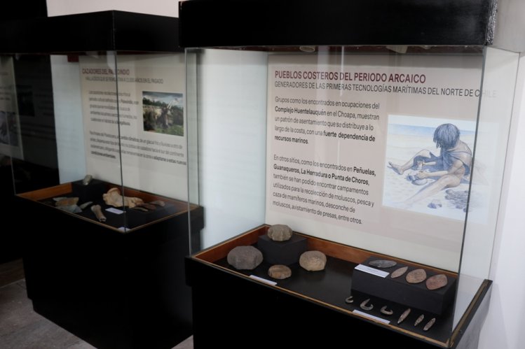 CELEBRAN EN LA REGIÓN LOS 16 AÑOS DE MUSEOS DE MEDIANOCHE