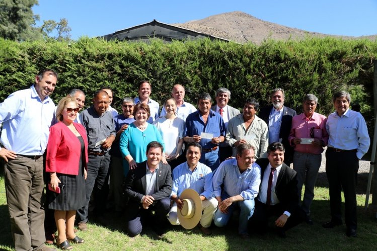MÁS DE 300 PRODUCTORES DE VICUÑA RECIBEN RECURSOS PARA REACTIVACIÓN AGROPECUARIA