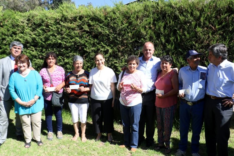 MÁS DE 300 PRODUCTORES DE VICUÑA RECIBEN RECURSOS PARA REACTIVACIÓN AGROPECUARIA