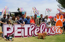 MILES DE FAMILIAS PARTICIPARON DE LA FIESTA MASCOTERA MÁS GRANDE DE CHILE