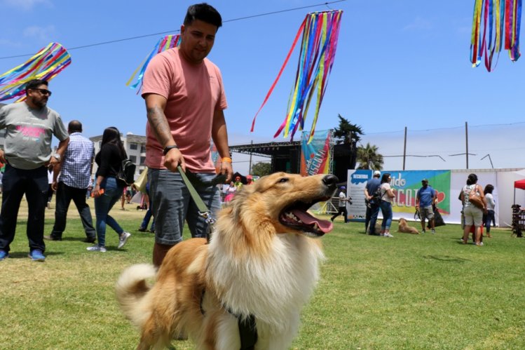 MILES DE FAMILIAS PARTICIPARON DE LA FIESTA MASCOTERA MÁS GRANDE DE CHILE