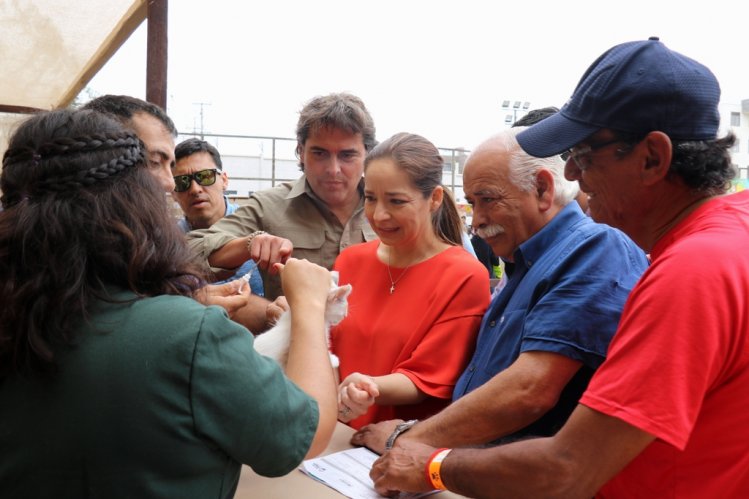 MILES DE FAMILIAS PARTICIPARON DE LA FIESTA MASCOTERA MÁS GRANDE DE CHILE