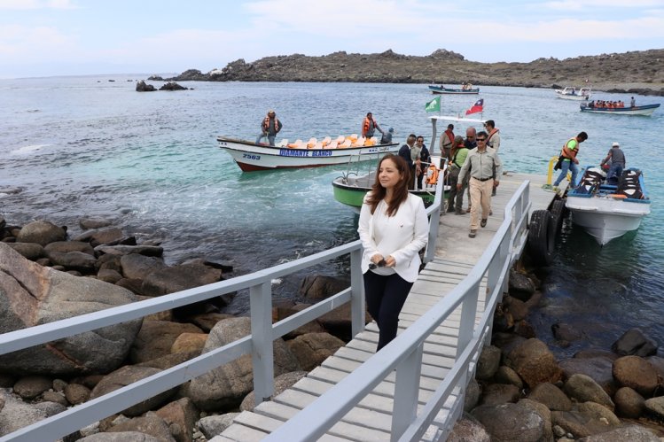 RESERVA PINGÜINO DE HUMBOLDT REBAJA TARIFA DE INGRESO POR EL RESTO DE LA TEMPORADA