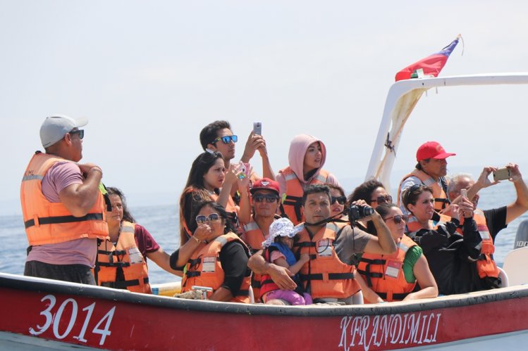 RESERVA PINGÜINO DE HUMBOLDT REBAJA TARIFA DE INGRESO POR EL RESTO DE LA TEMPORADA