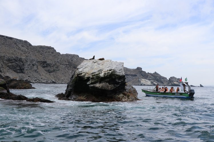 RESERVA PINGÜINO DE HUMBOLDT REBAJA TARIFA DE INGRESO POR EL RESTO DE LA TEMPORADA