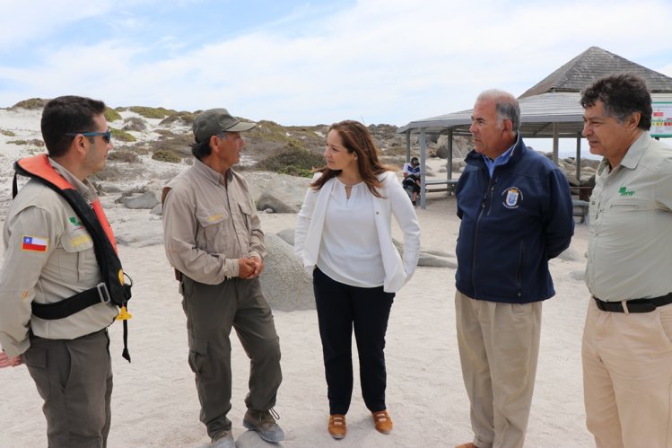 RESERVA PINGÜINO DE HUMBOLDT REBAJA TARIFA DE INGRESO POR EL RESTO DE LA TEMPORADA