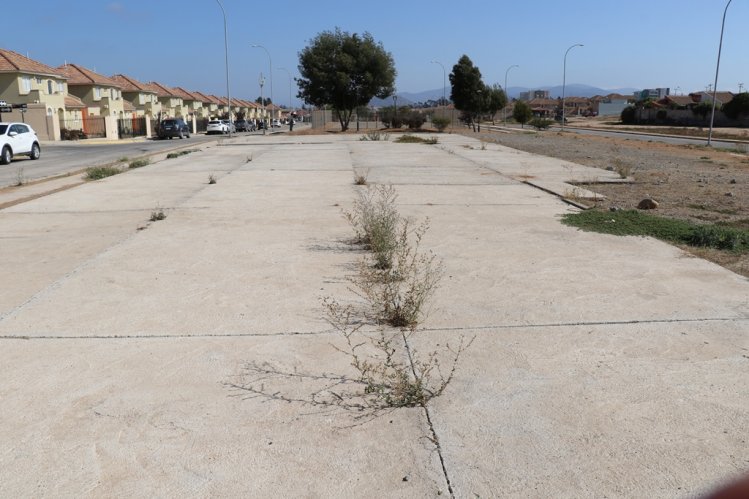 CONFIRMAN QUE TERRENO DEL SECTOR ORIENTE DE LA SERENA ES APTO PARA CONSTRUIR CUARTEL DE CARABINEROS