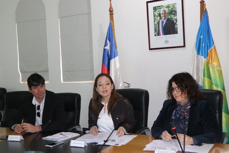 APRUEBAN DECLARACIÓN AMBIENTAL DE PARQUE SOLAR EN MONTE PATRIA