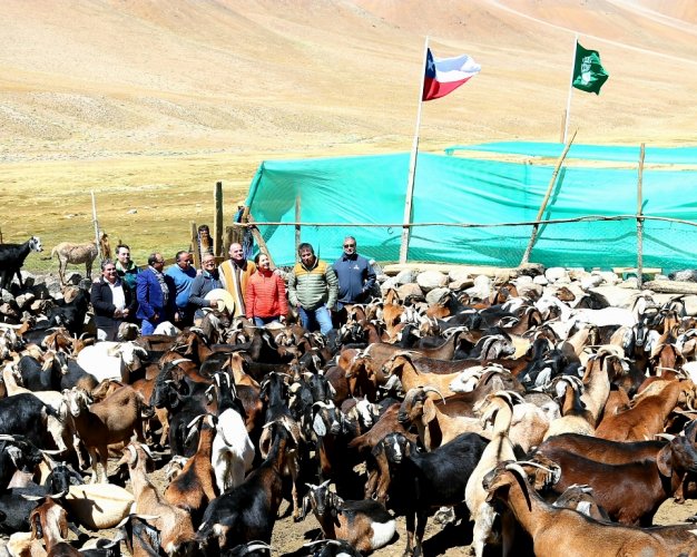 INTENDENTA LUCÍA PINTO: “COMO GOBIERNO ESTAMOS ENFRENTANDO LA ESCASEZ HÍDRICA COMO UN TEMA ESTRUCTURAL Y CON MEDIDAS PERMANENTES”