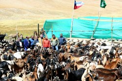 INTENDENTA LUCÍA PINTO: “COMO GOBIERNO ESTAMOS ENFRENTANDO LA ESCASEZ HÍDRICA COMO UN TEMA ESTRUCTURAL Y CON MEDIDAS PERMANENTES”