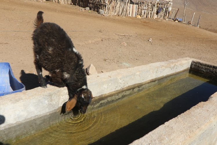 GOBIERNO EVALÚA EN TERRENO SITUACIÓN AGRÍCOLA REGIONAL Y AVANZA EN GESTIONES PARA MECANISMOS DE AYUDA