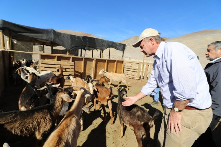 GOBIERNO EVALÚA EN TERRENO SITUACIÓN AGRÍCOLA REGIONAL Y AVANZA EN GESTIONES PARA MECANISMOS DE AYUDA