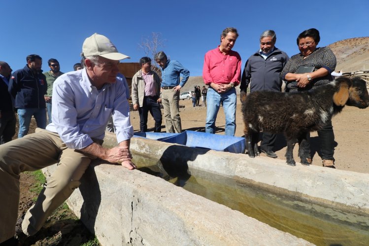 GOBIERNO EVALÚA EN TERRENO SITUACIÓN AGRÍCOLA REGIONAL Y AVANZA EN GESTIONES PARA MECANISMOS DE AYUDA